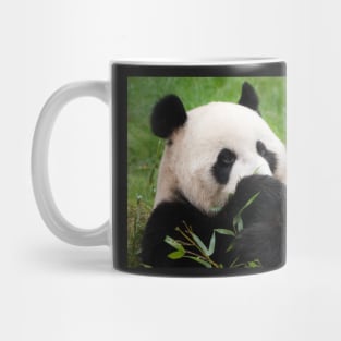 Giant panda bear Mug